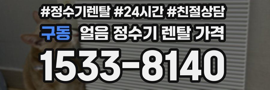 구동 얼음 정수기 렌탈 가격