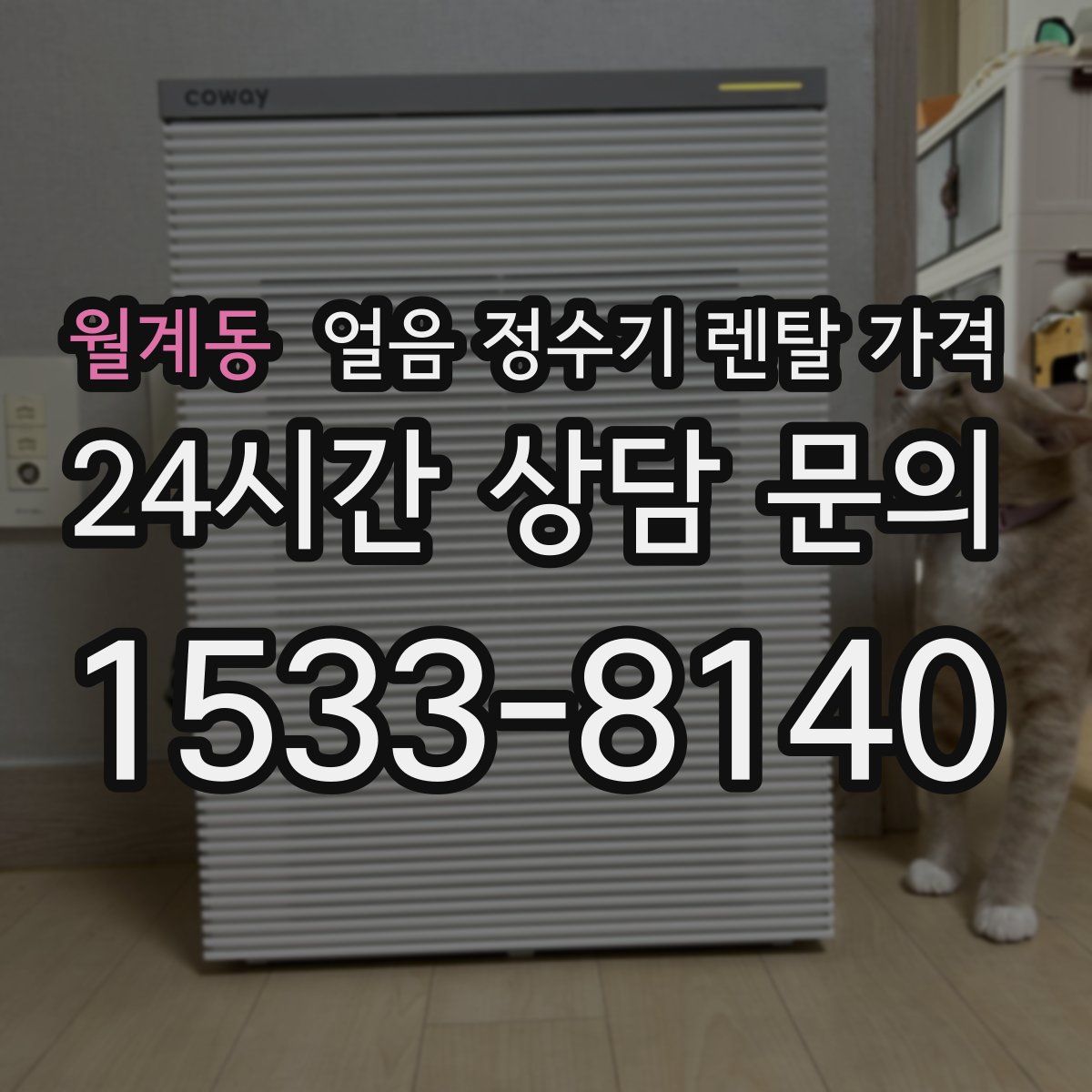 월계동 얼음 정수기 렌탈 가격