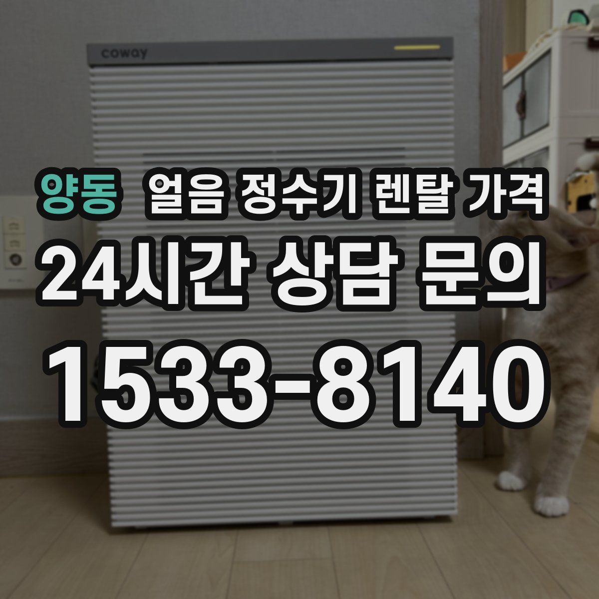 양동 얼음 정수기 렌탈 가격