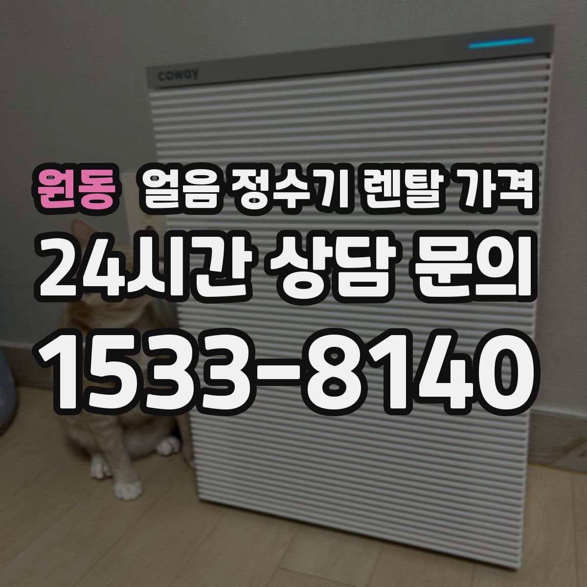 원동 얼음 정수기 렌탈 가격