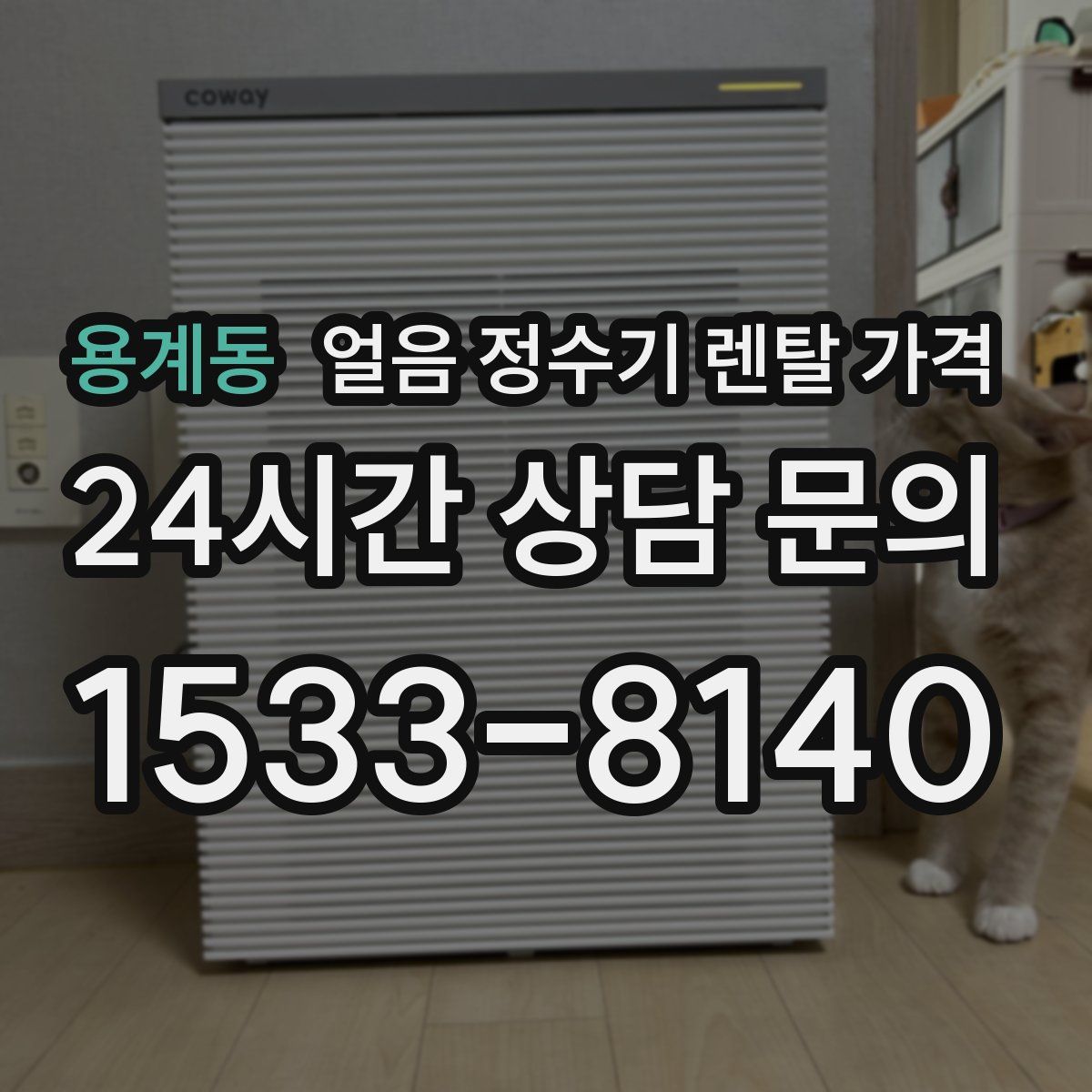 용계동 얼음 정수기 렌탈 가격