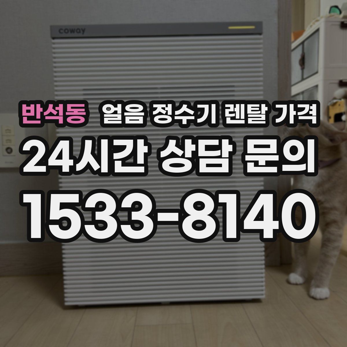 반석동 얼음 정수기 렌탈 가격