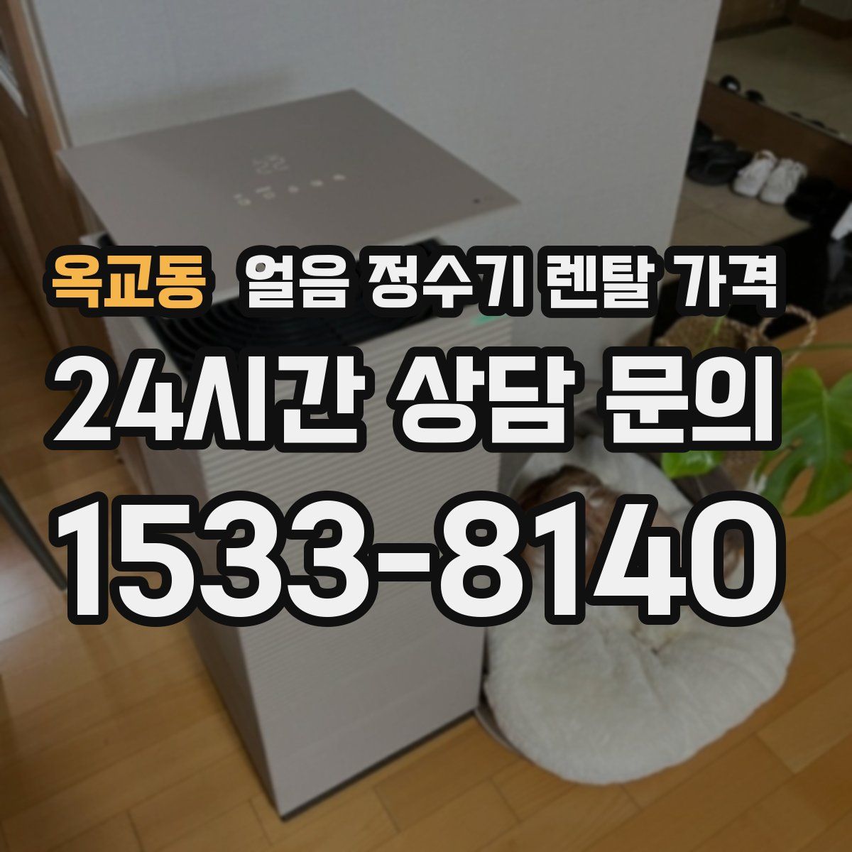 옥교동 얼음 정수기 렌탈 가격