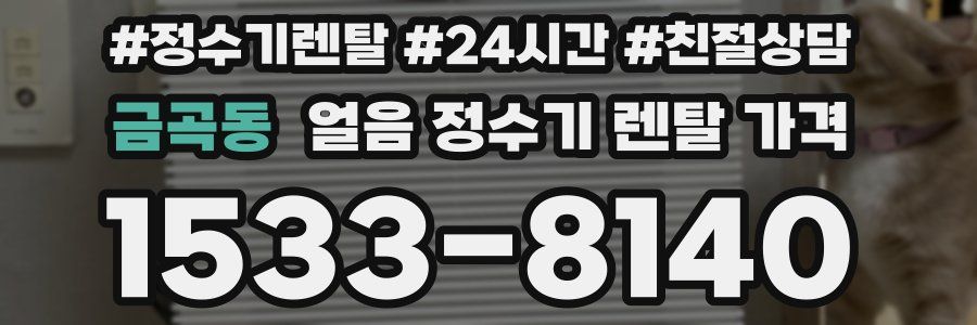 금곡동 얼음 정수기 렌탈 가격