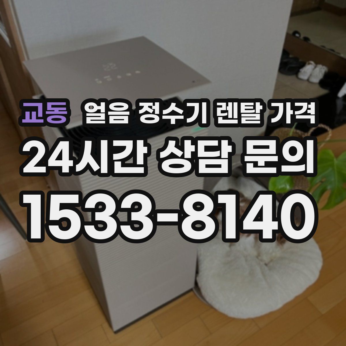 교동 얼음 정수기 렌탈 가격