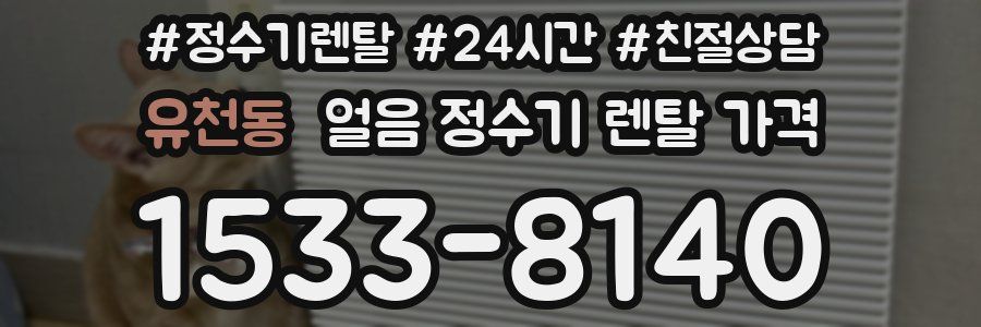 유천동 얼음 정수기 렌탈 가격