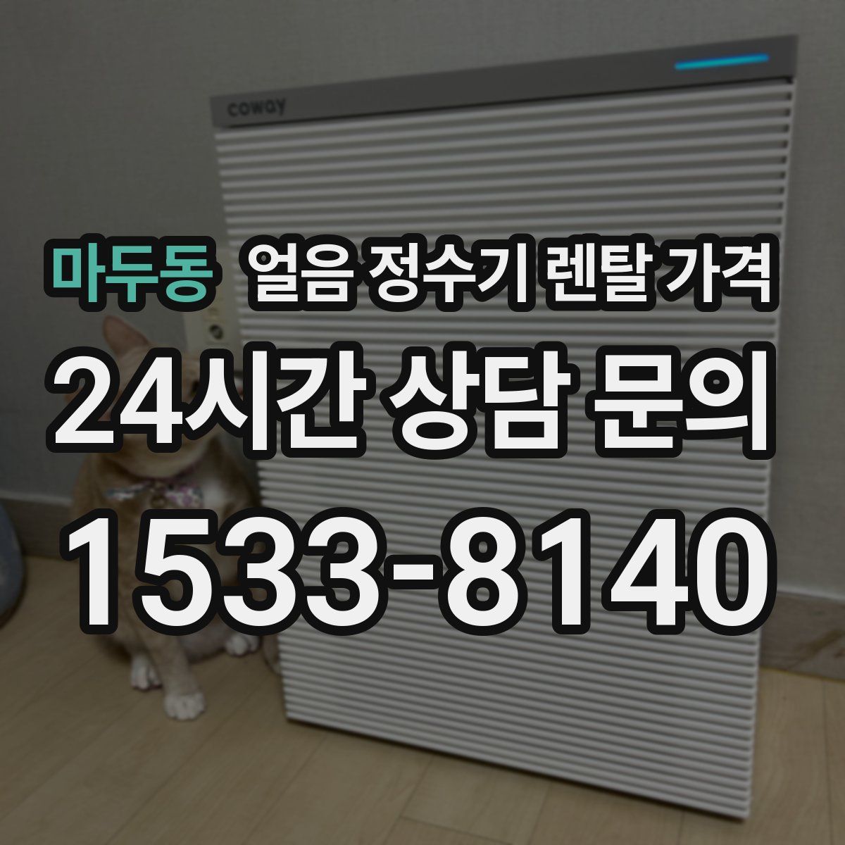 마두동 얼음 정수기 렌탈 가격