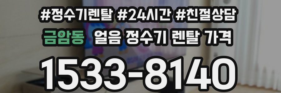 금암동 얼음 정수기 렌탈 가격