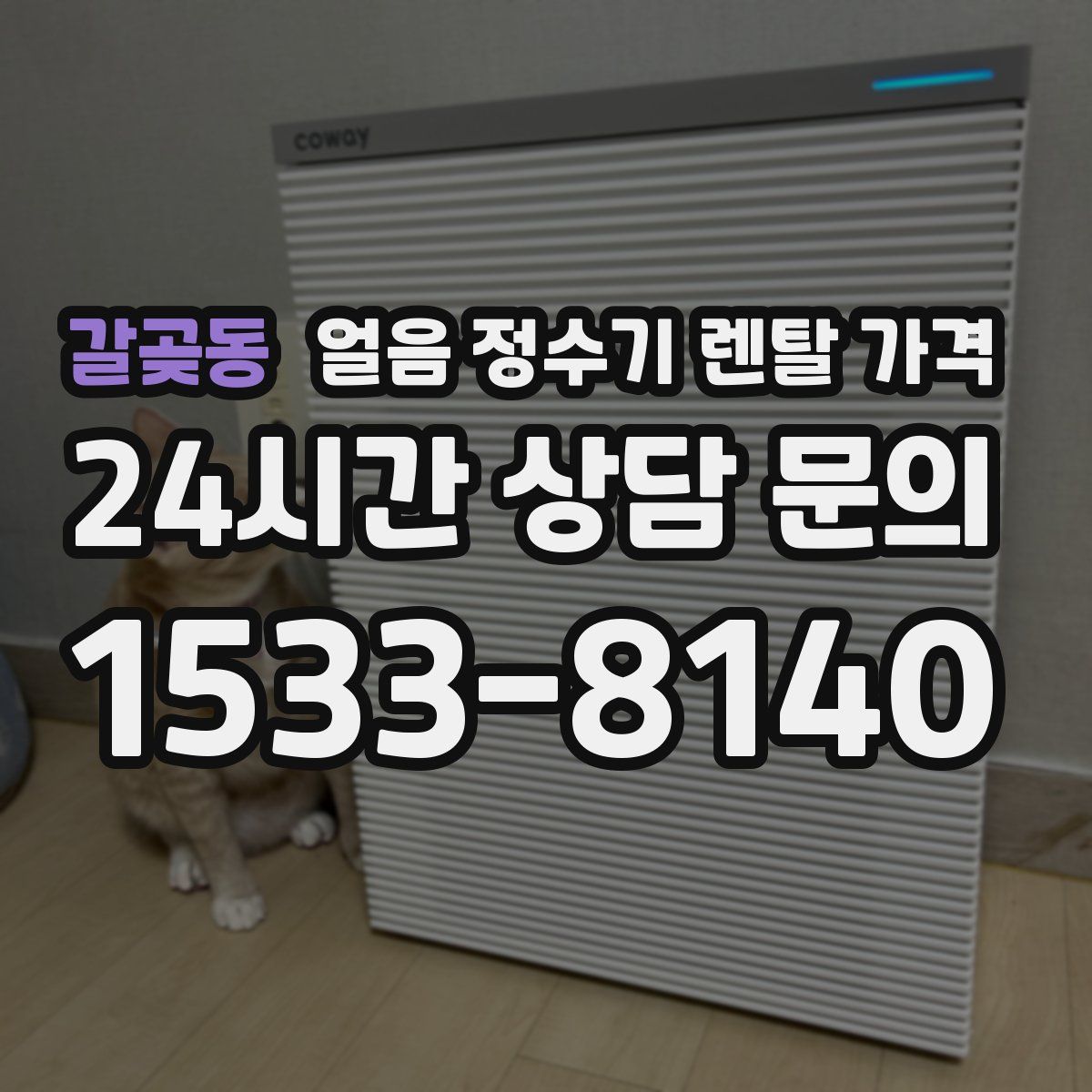 갈곶동 얼음 정수기 렌탈 가격