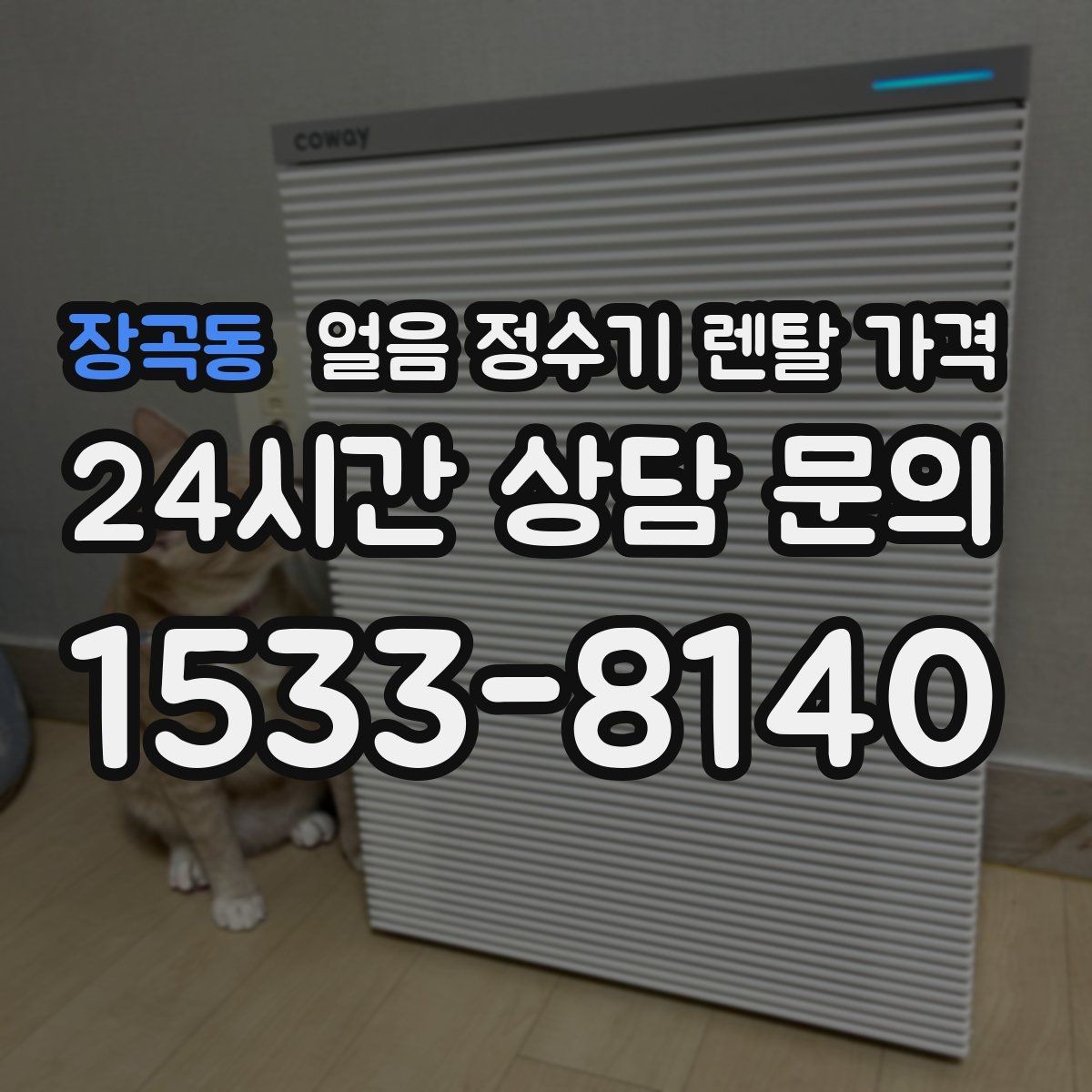 장곡동 얼음 정수기 렌탈 가격 냉온 기능 포함 여부 고민될 때