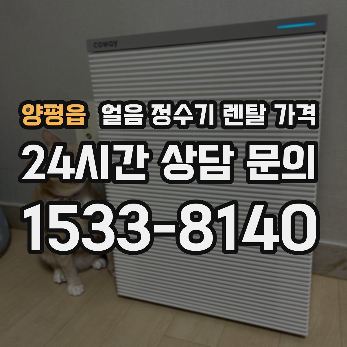 양평읍 얼음 정수기 렌탈 가격 작은 차이가 큰 만족도로 이어지는 이유