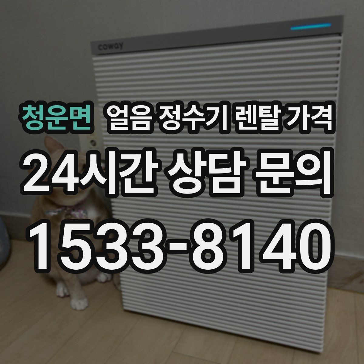 청운면 얼음 정수기 렌탈 가격 부모님 댁 설치 시 고려할 점