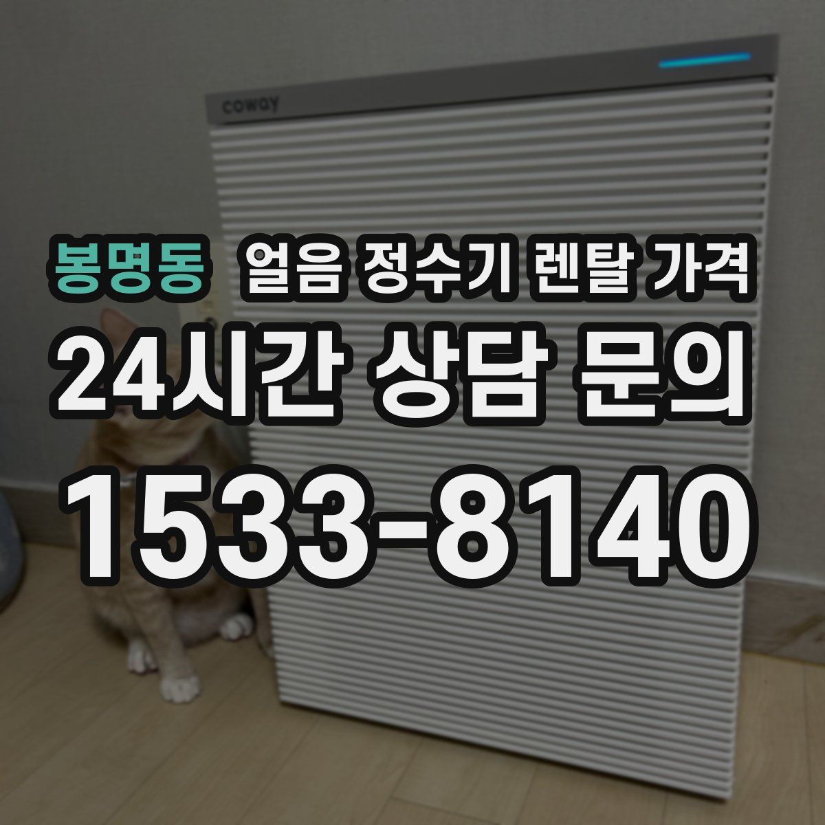 봉명동 얼음 정수기 렌탈 가격
