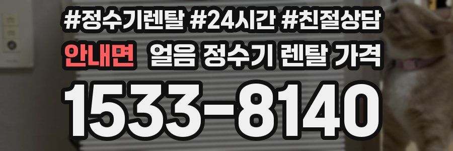 안내면 얼음 정수기 렌탈 가격