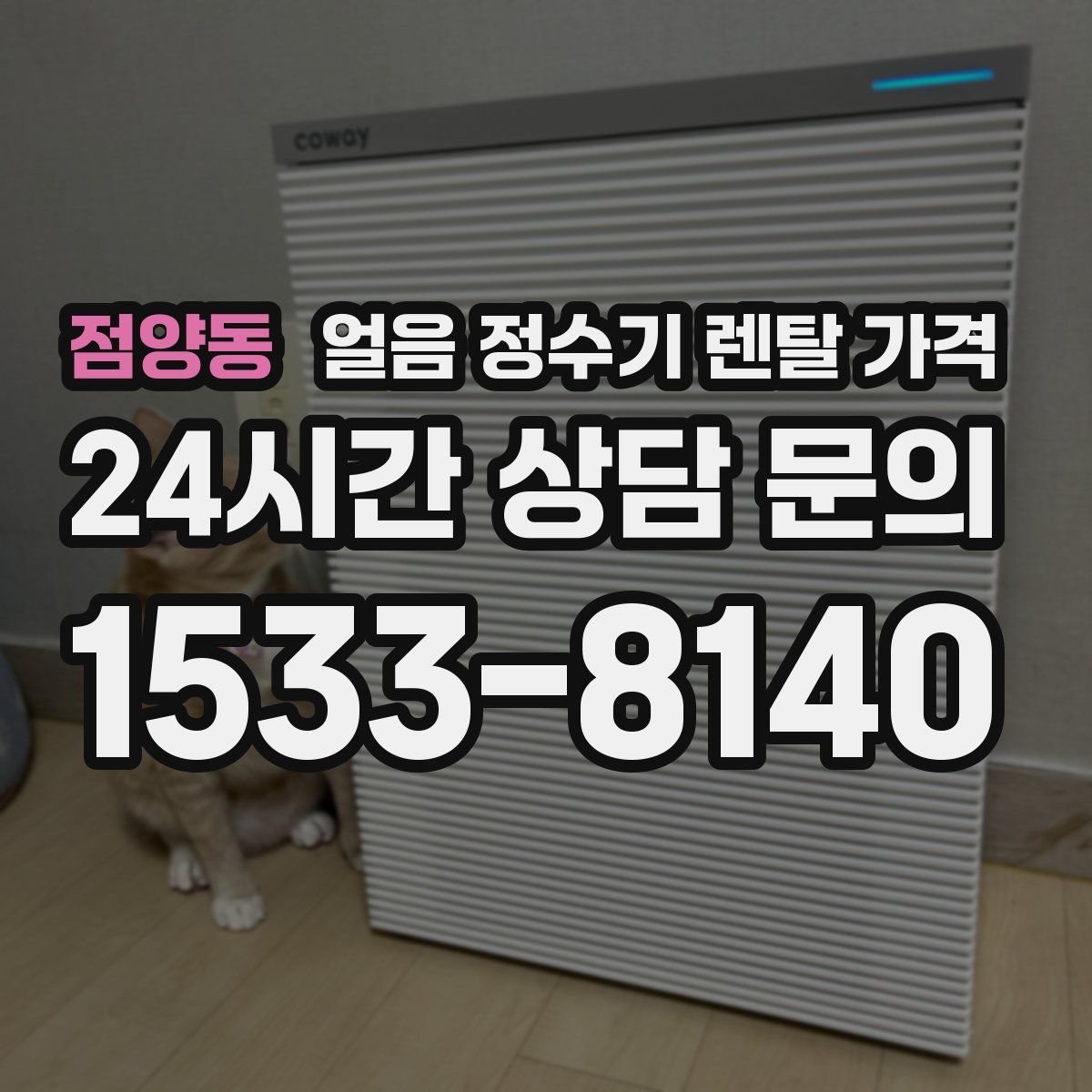 점양동 얼음 정수기 렌탈 가격