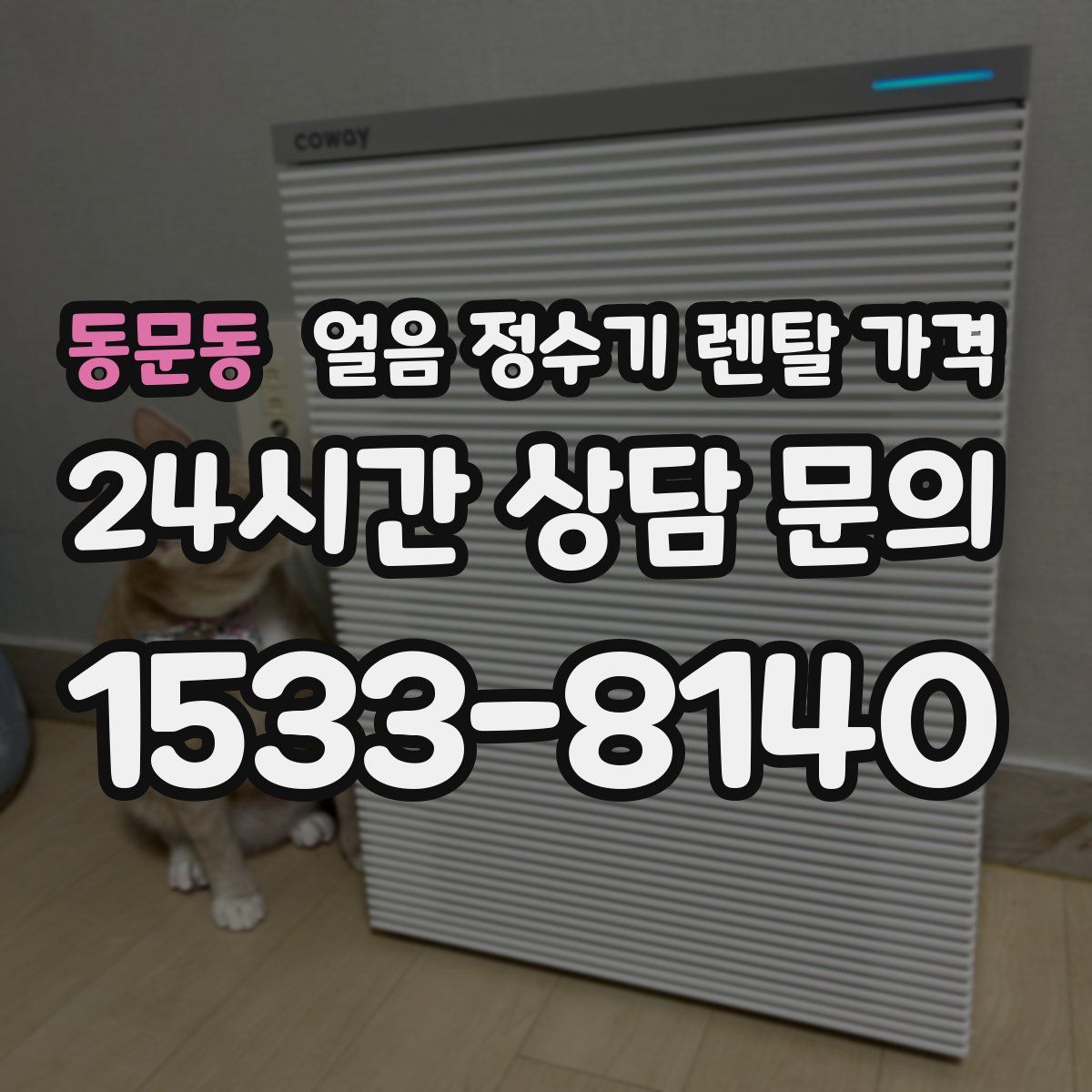 동문동 얼음 정수기 렌탈 가격