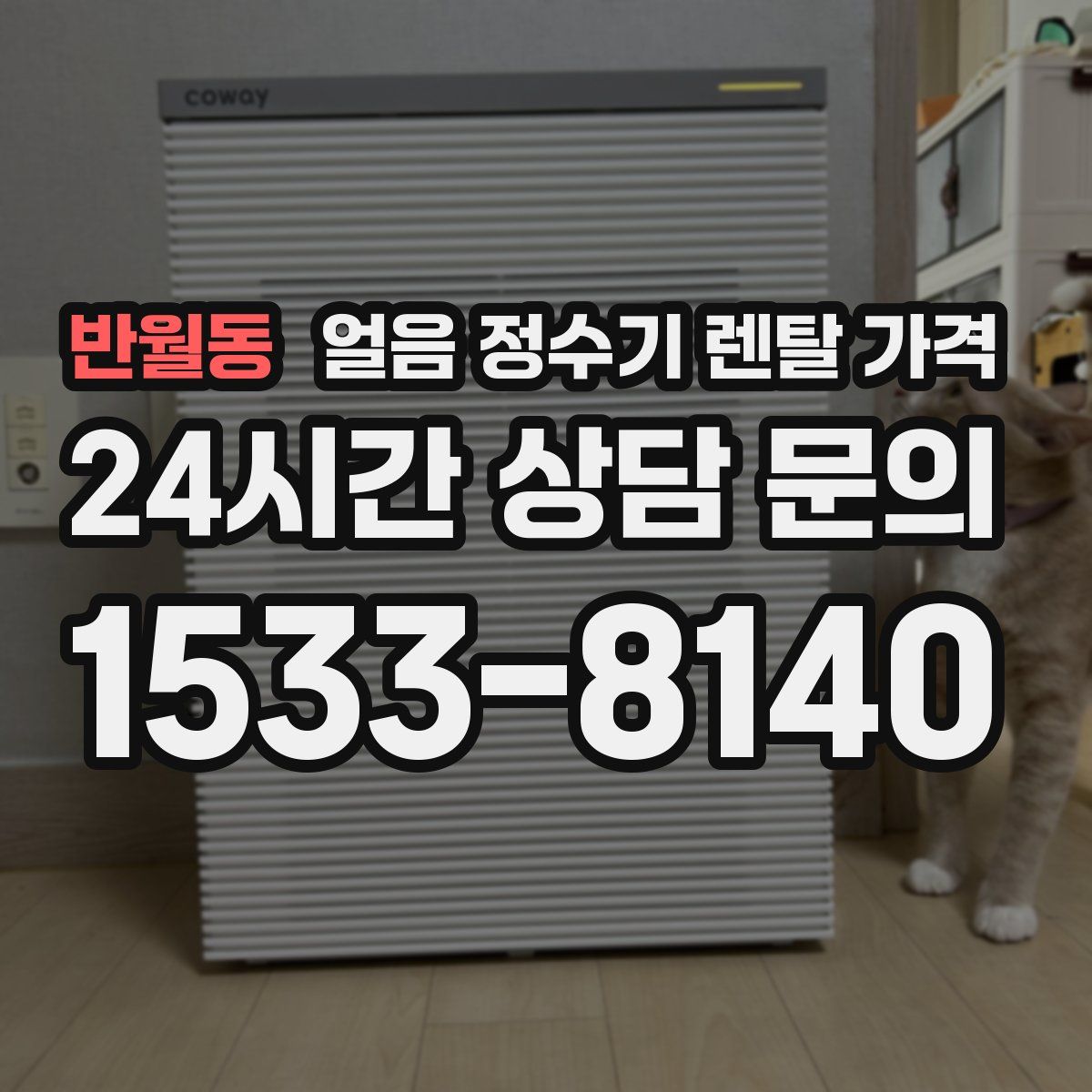 반월동 얼음 정수기 렌탈 가격