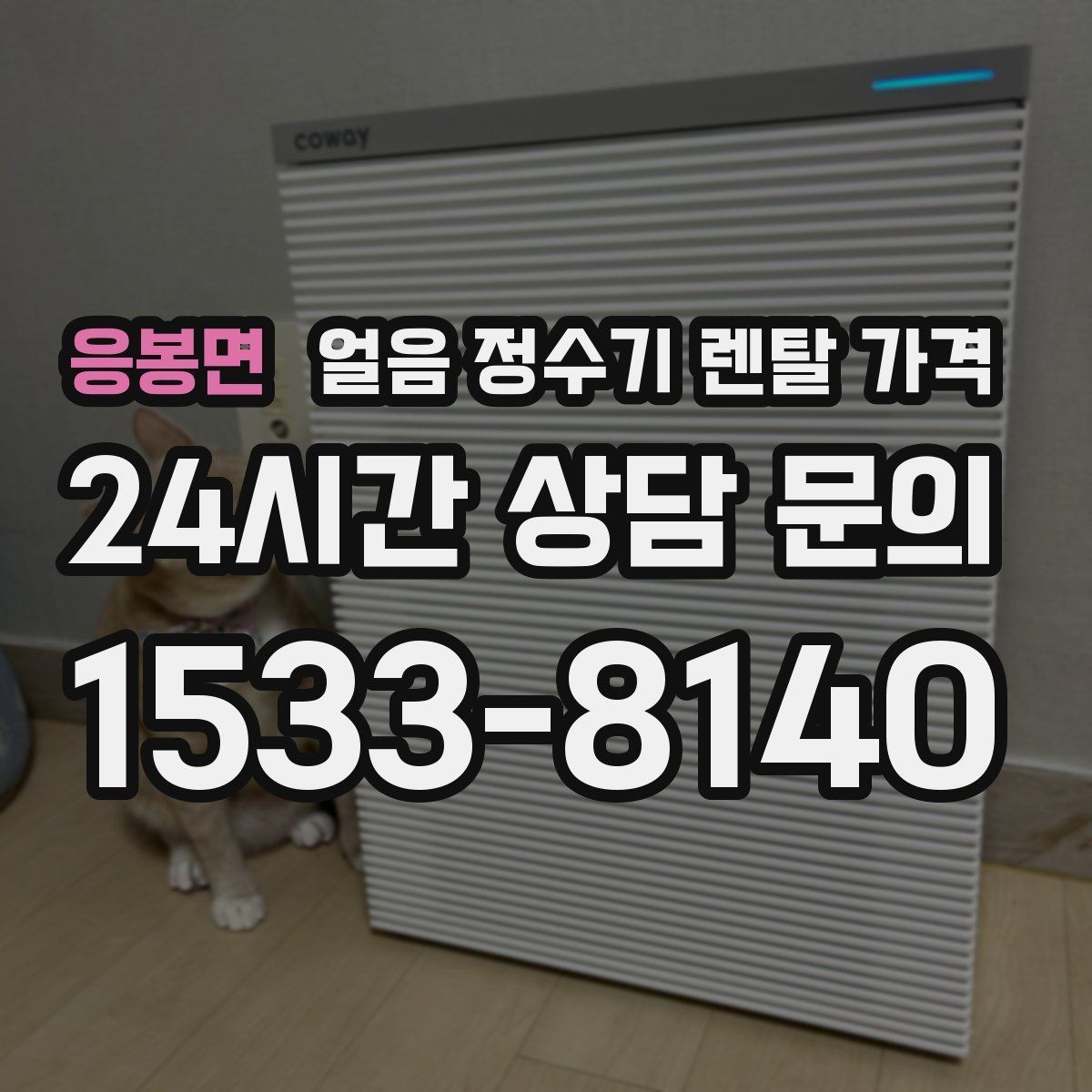 응봉면 얼음 정수기 렌탈 가격 렌탈 중 교체 가능 여부 확인