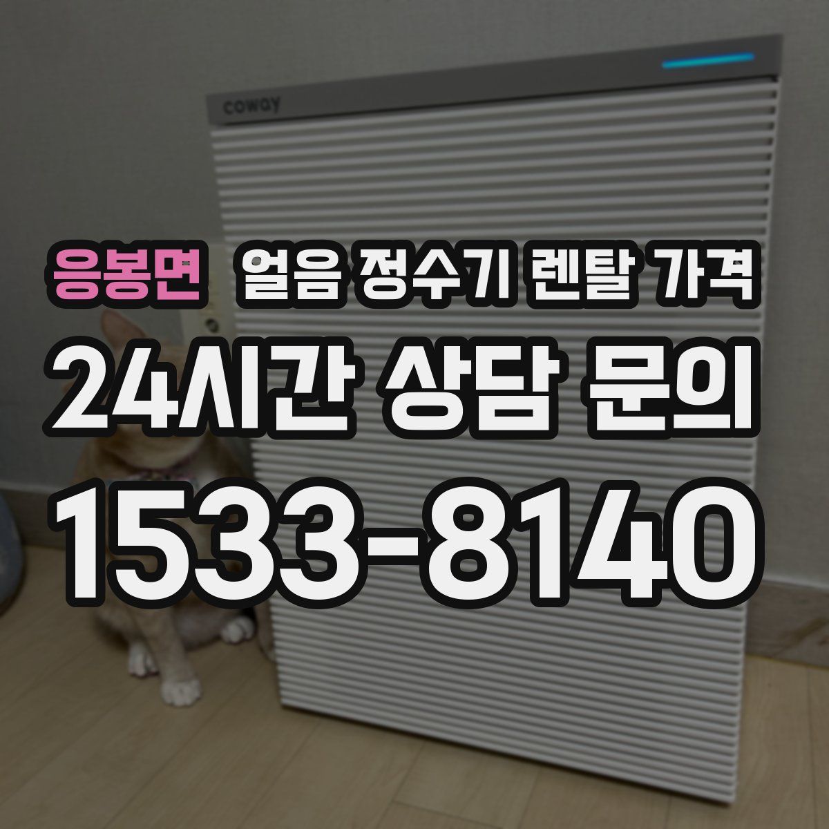 응봉면 얼음 정수기 렌탈 가격