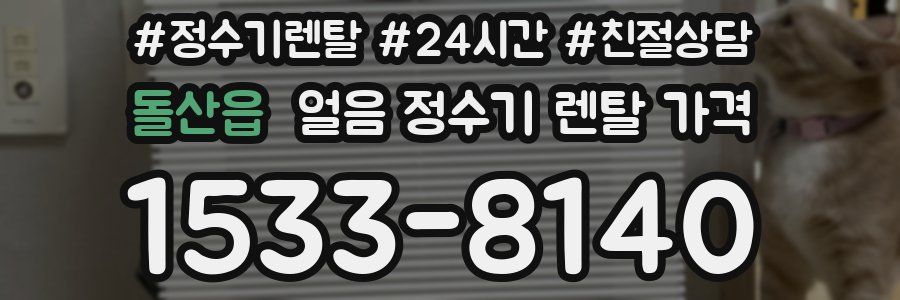 돌산읍 얼음 정수기 렌탈 가격