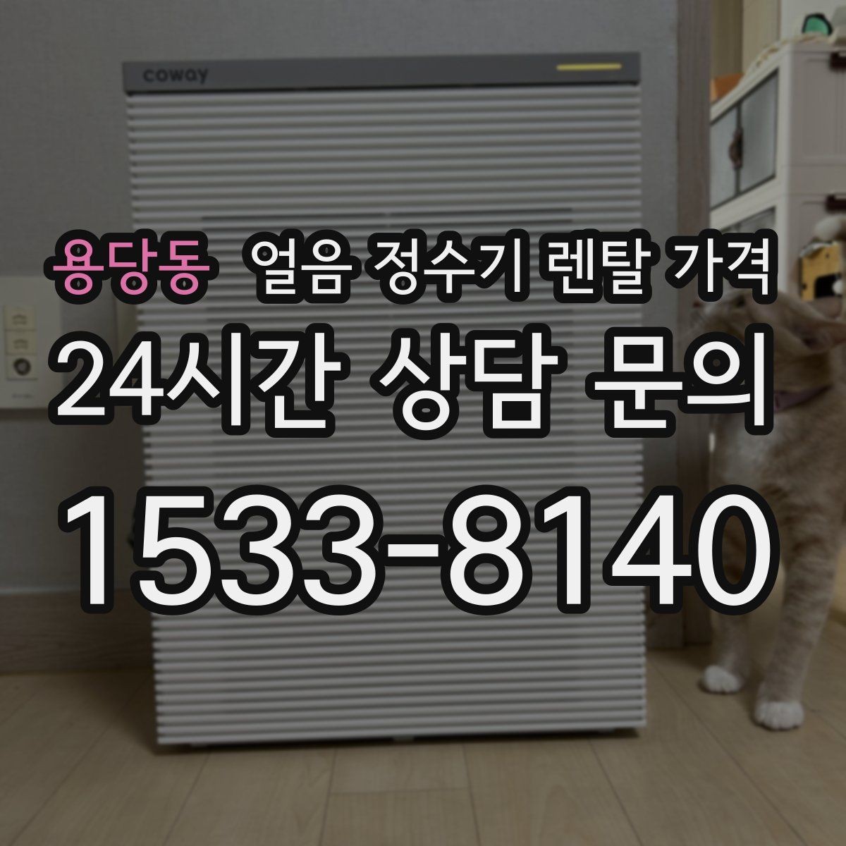 용당동 얼음 정수기 렌탈 가격 카페용으로 사용할 때 고려사항
