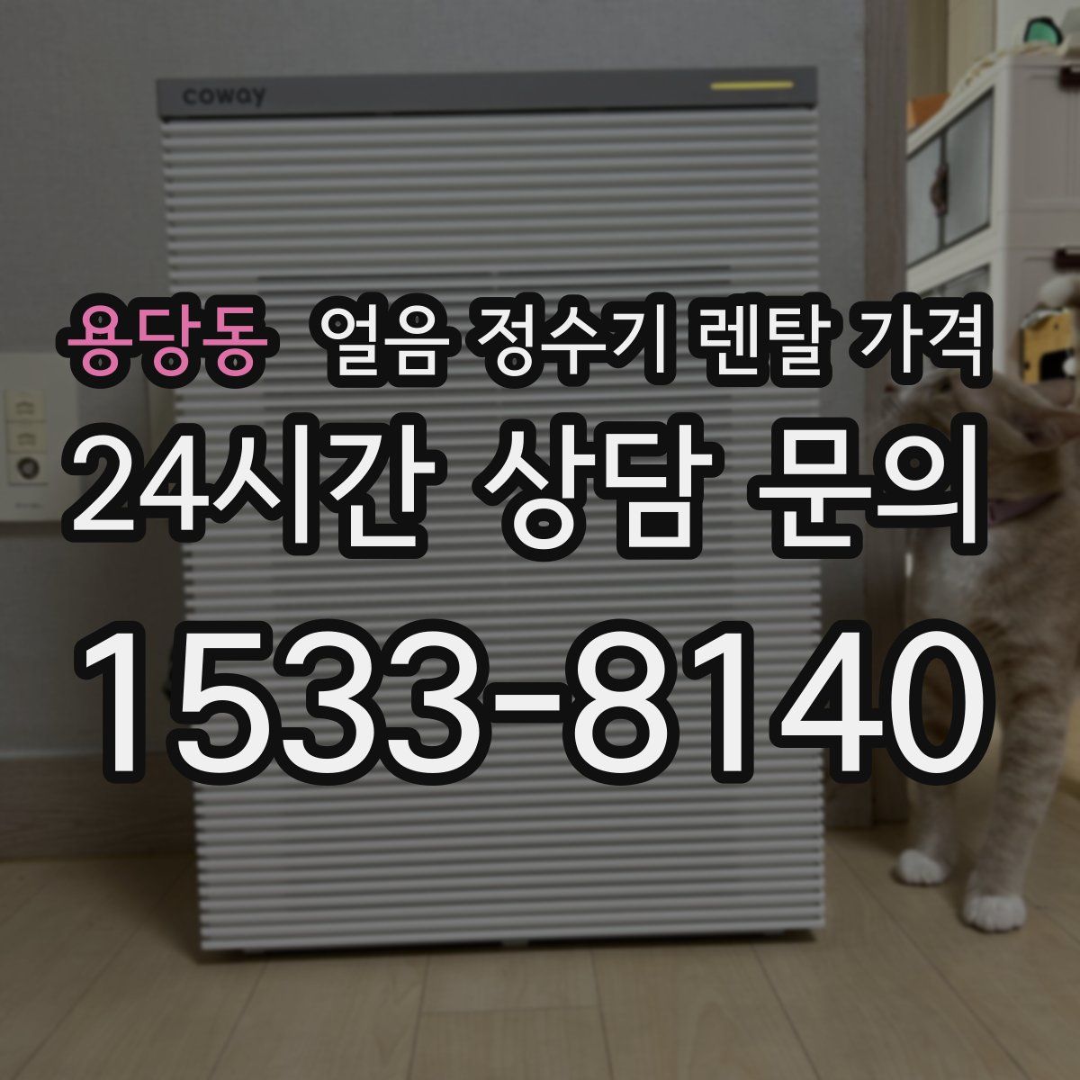 용당동 얼음 정수기 렌탈 가격