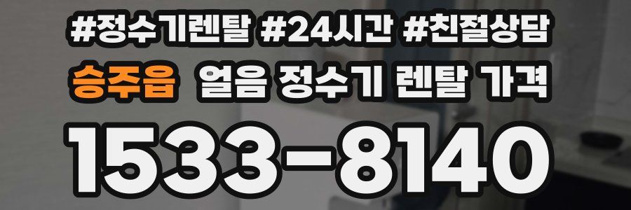 승주읍 얼음 정수기 렌탈 가격