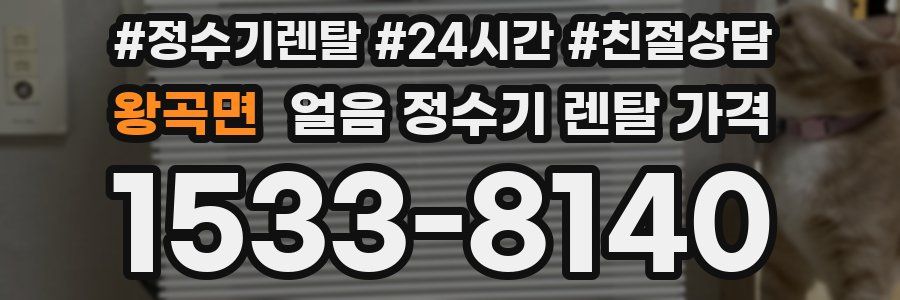 왕곡면 얼음 정수기 렌탈 가격