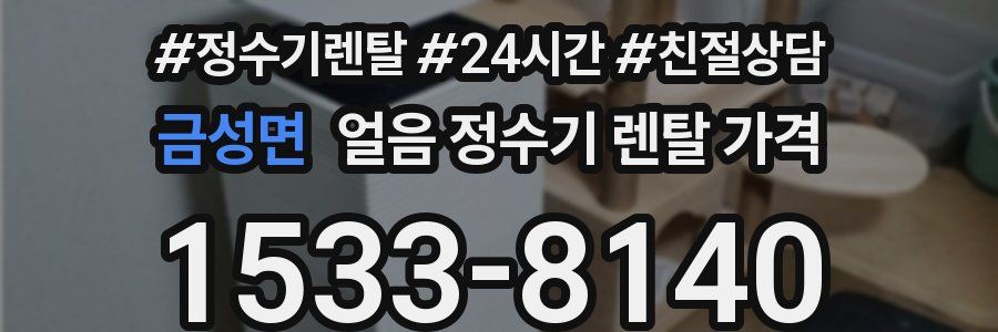 금성면 얼음 정수기 렌탈 가격