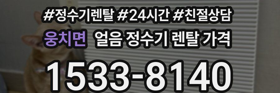 웅치면 얼음 정수기 렌탈 가격