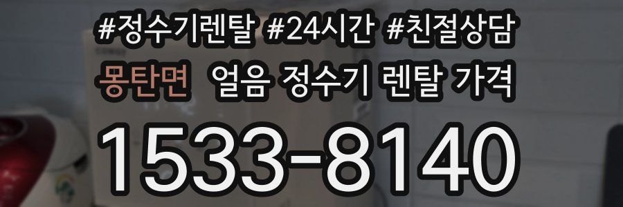 몽탄면 얼음 정수기 렌탈 가격