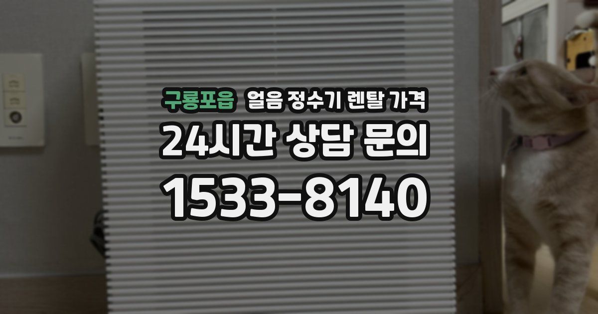 구룡포읍 얼음 정수기 렌탈 가격