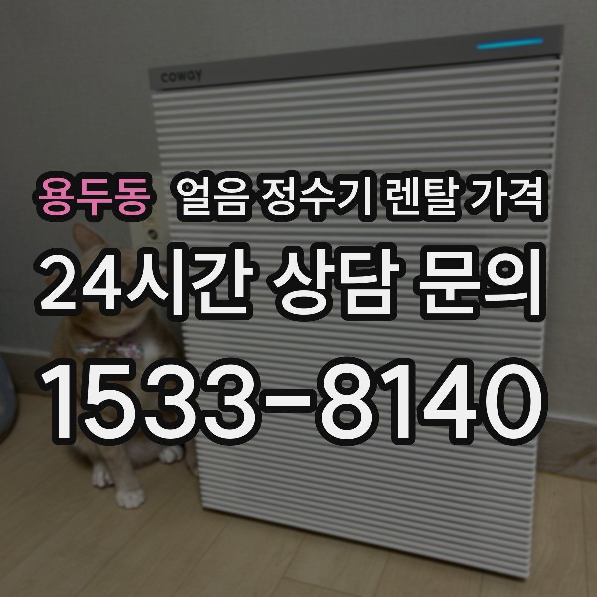 용두동 얼음 정수기 렌탈 가격 고급 기능이 꼭 필요한 경우