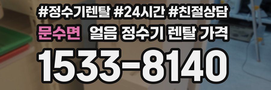 문수면 얼음 정수기 렌탈 가격
