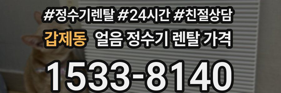 갑제동 얼음 정수기 렌탈 가격