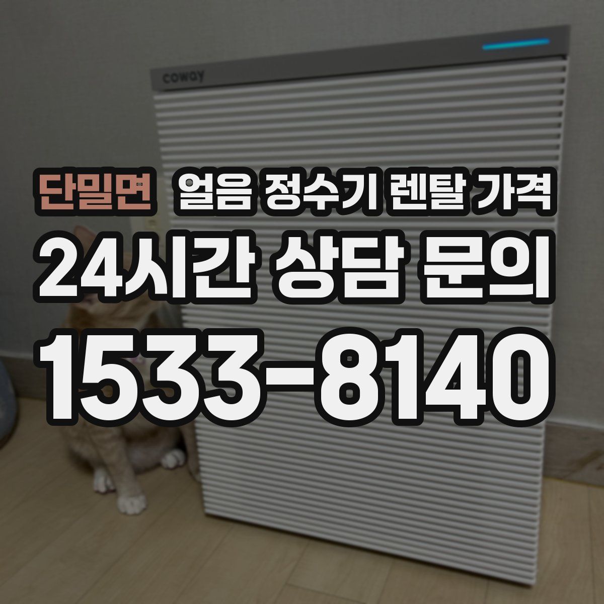 단밀면 얼음 정수기 렌탈 가격