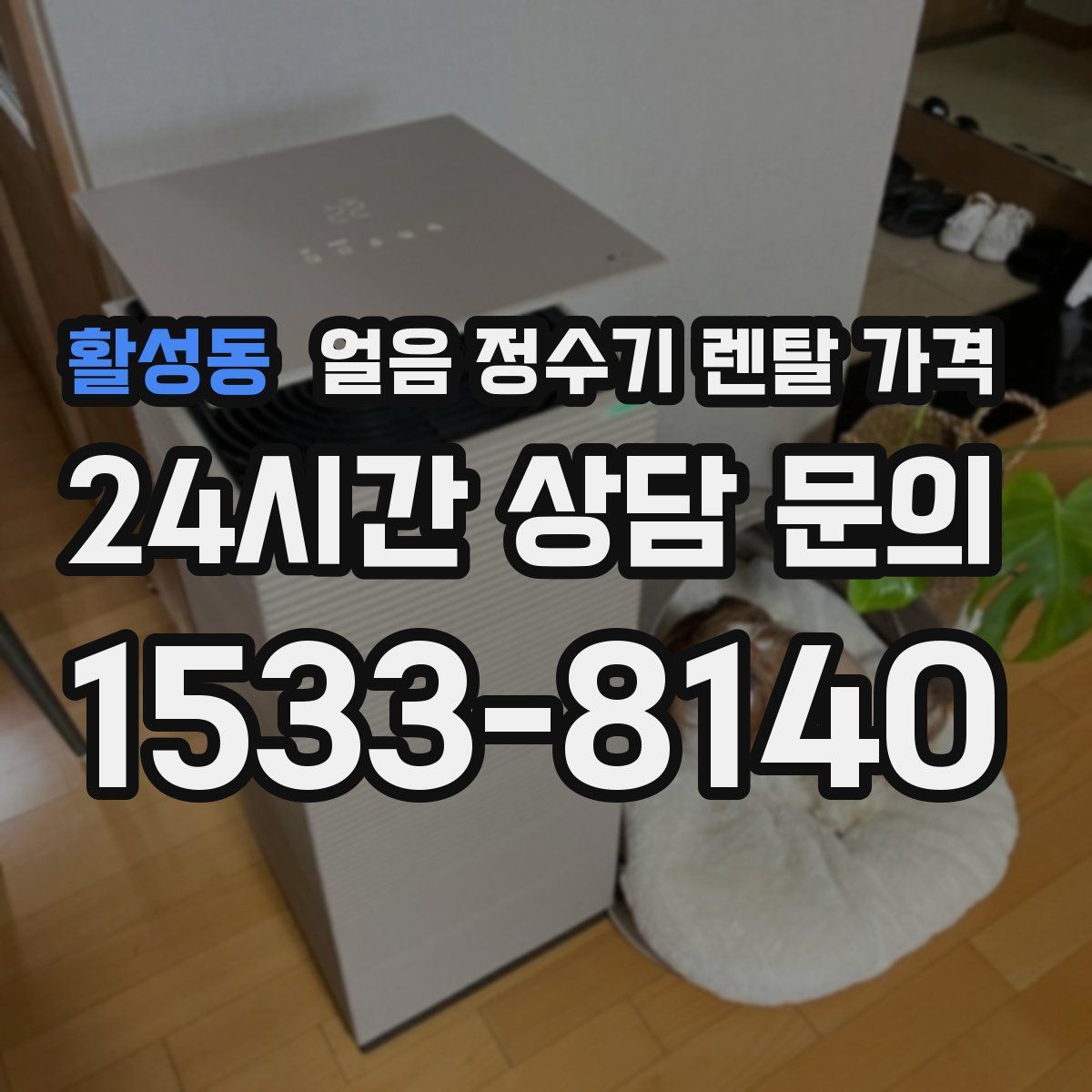 활성동 얼음 정수기 렌탈 가격