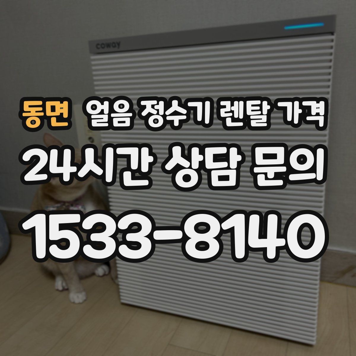 동면 얼음 정수기 렌탈 가격 렌탈 중 교체 가능한지 확인하는 방법