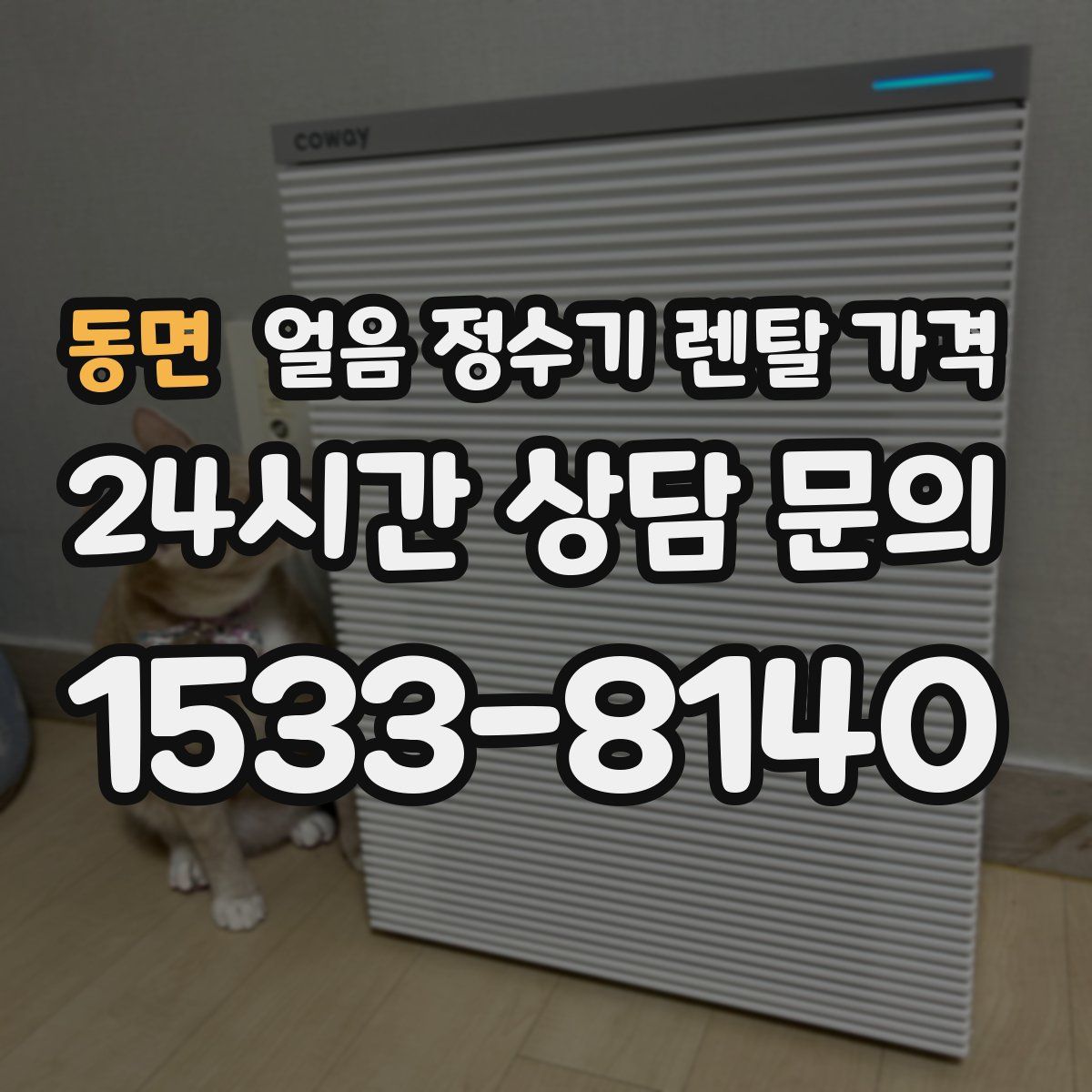 동면 얼음 정수기 렌탈 가격
