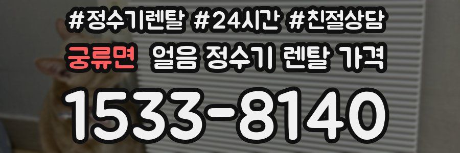 궁류면 얼음 정수기 렌탈 가격