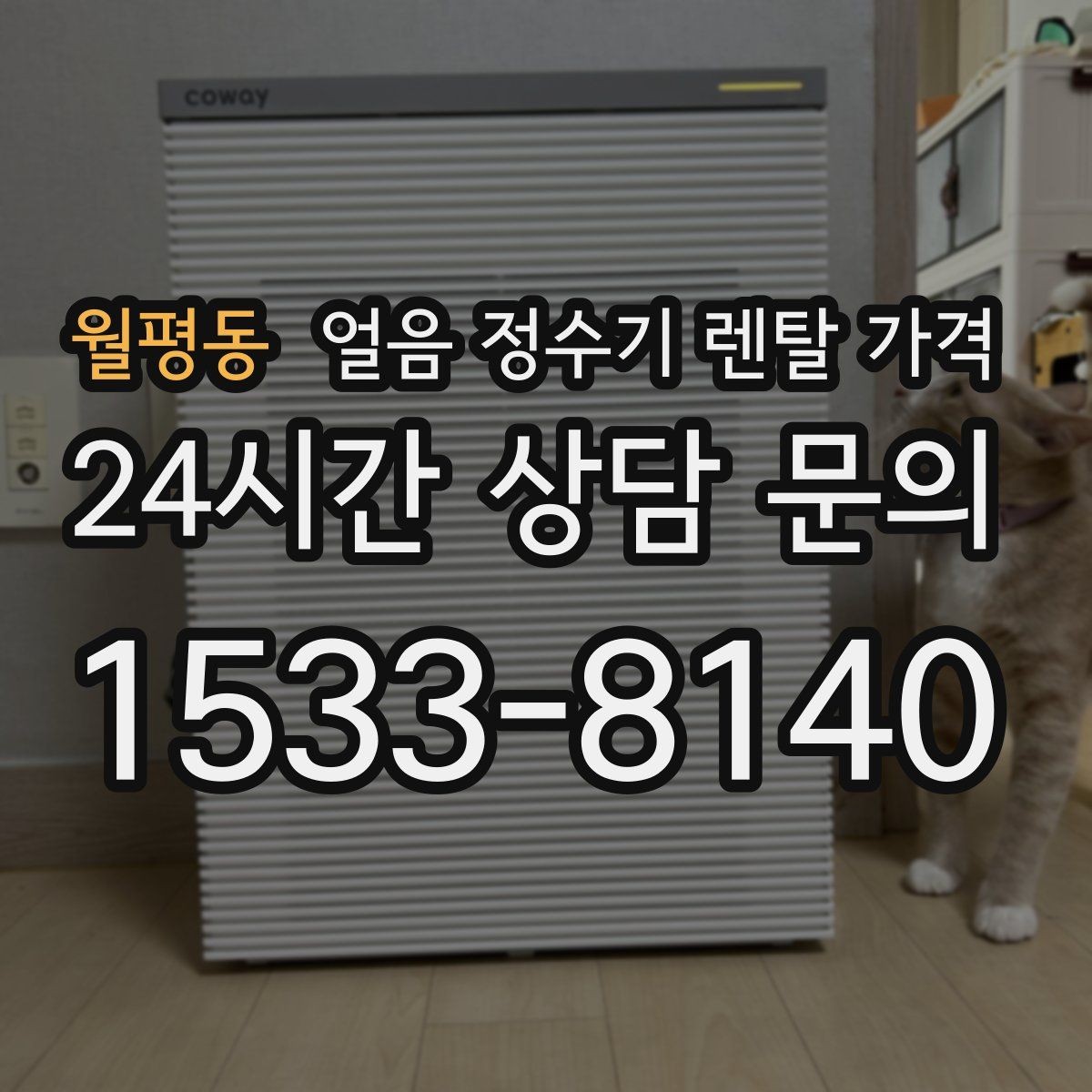 월평동 얼음 정수기 렌탈 가격 유지비까지 함께 보는 방법