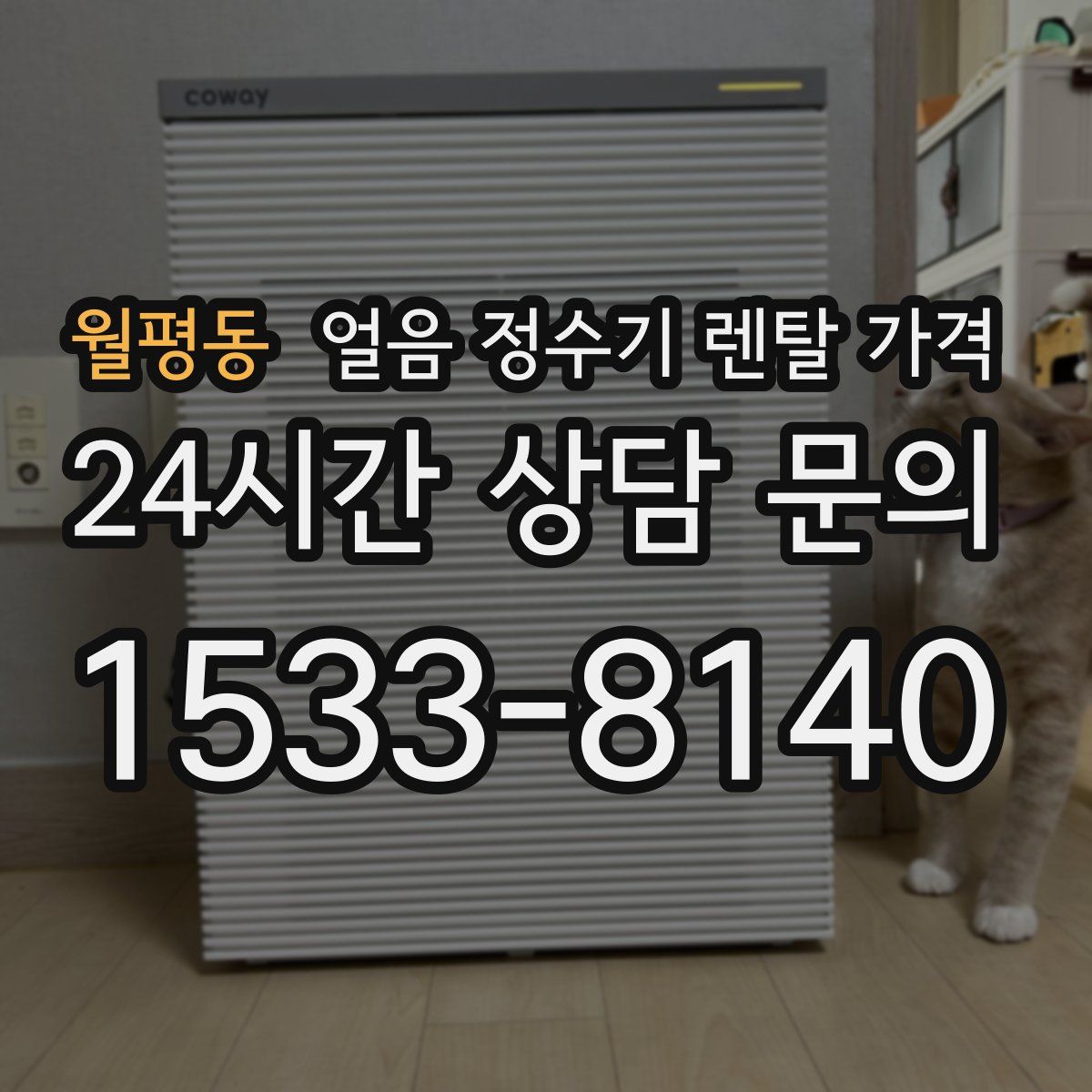 월평동 얼음 정수기 렌탈 가격