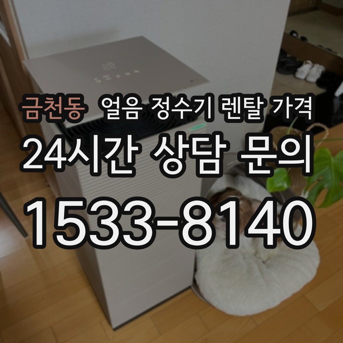 금천동 얼음 정수기 렌탈 가격 직수형과 저수조형 비교 정리