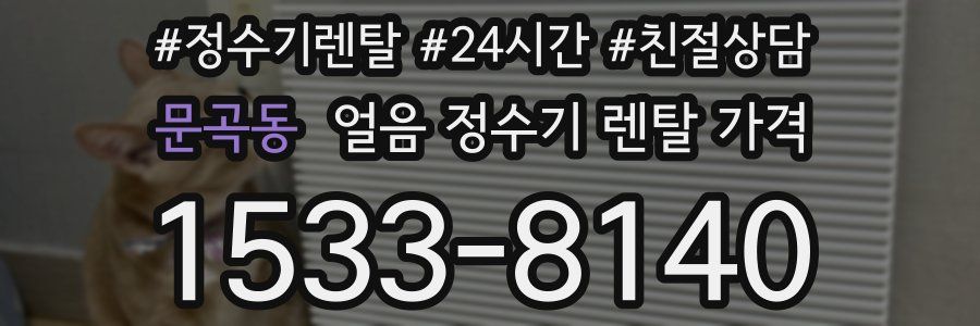 문곡동 얼음 정수기 렌탈 가격