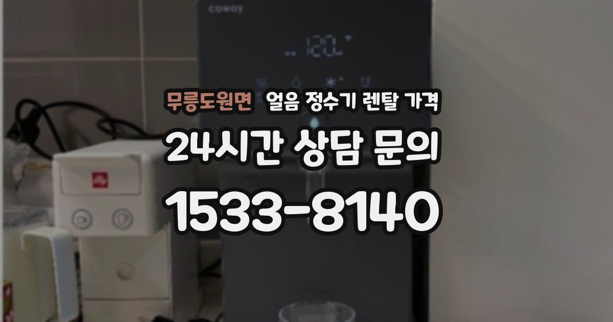 무릉도원면 얼음 정수기 렌탈 가격