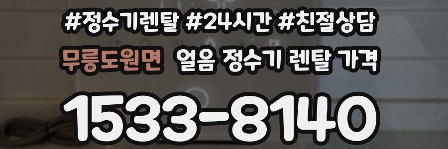 무릉도원면 얼음 정수기 렌탈 가격