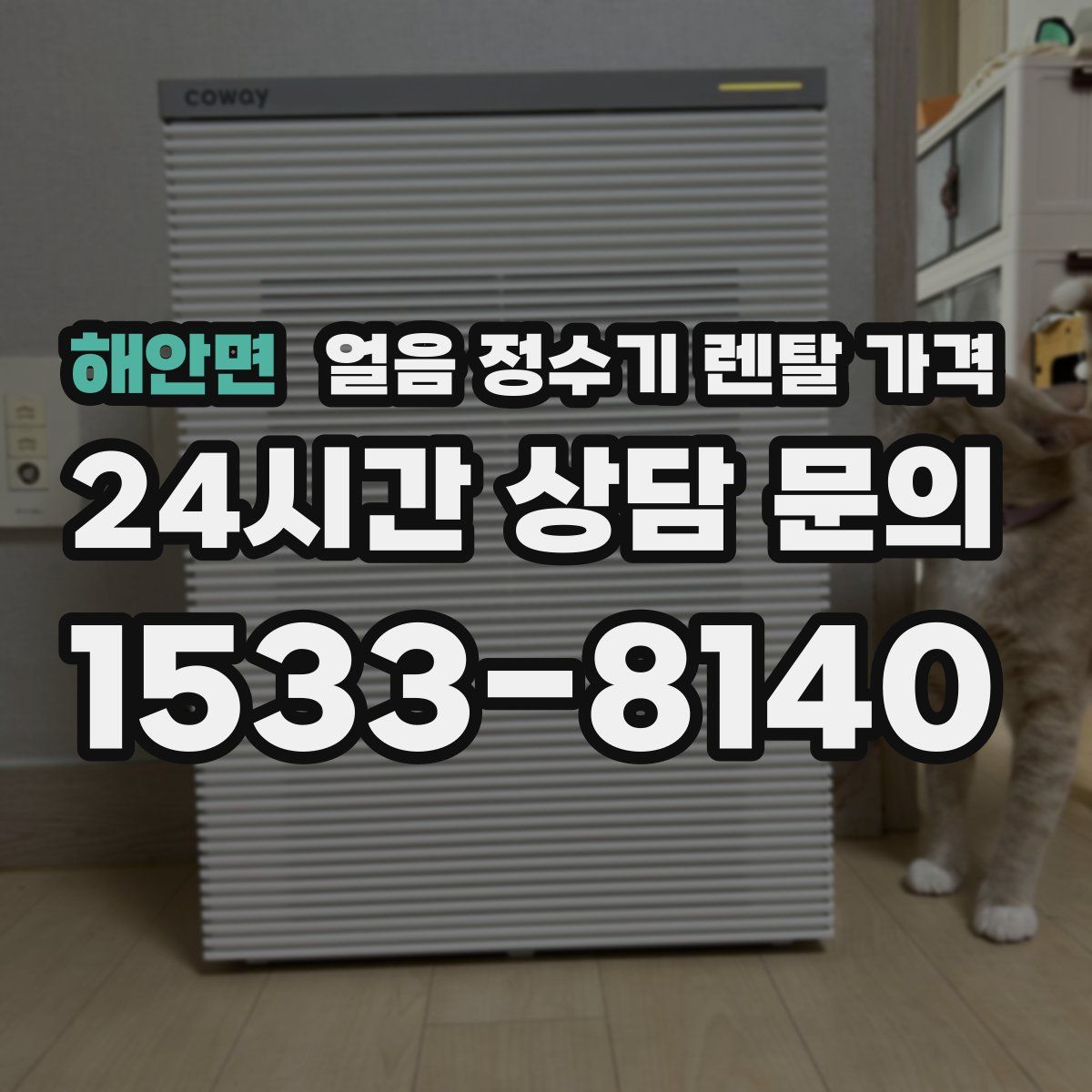 해안면 얼음 정수기 렌탈 가격