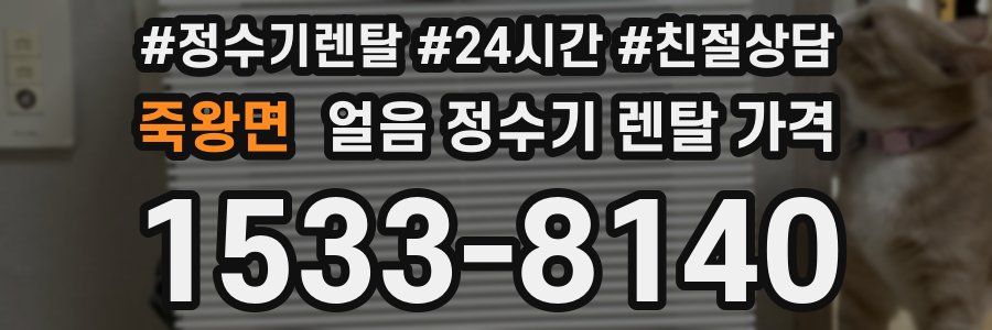 죽왕면 얼음 정수기 렌탈 가격