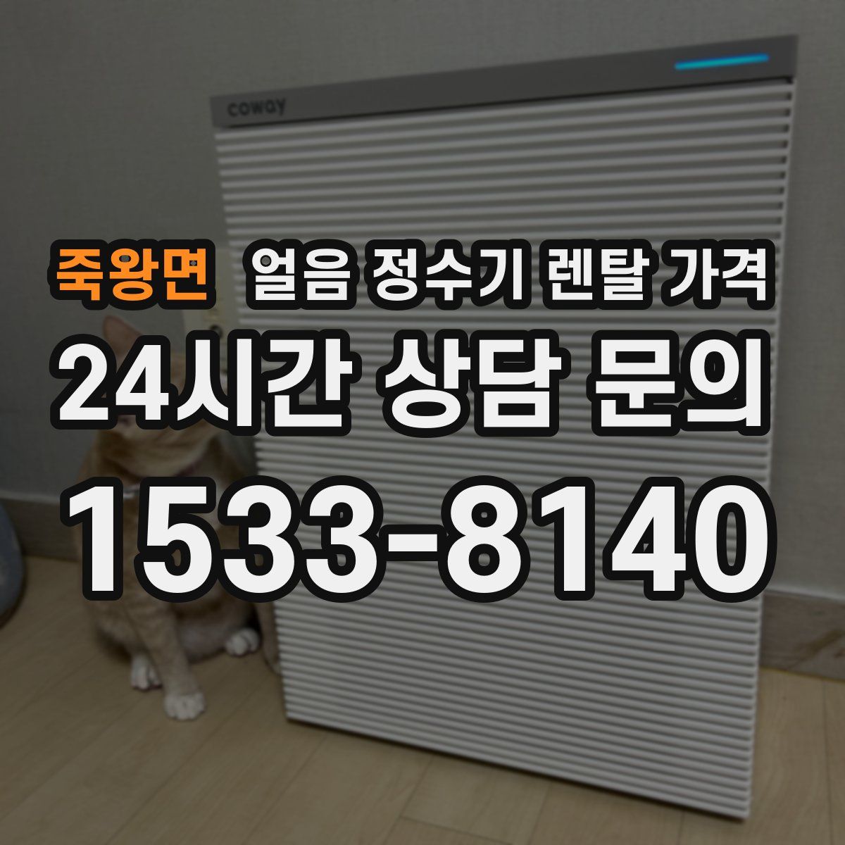 죽왕면 얼음 정수기 렌탈 가격