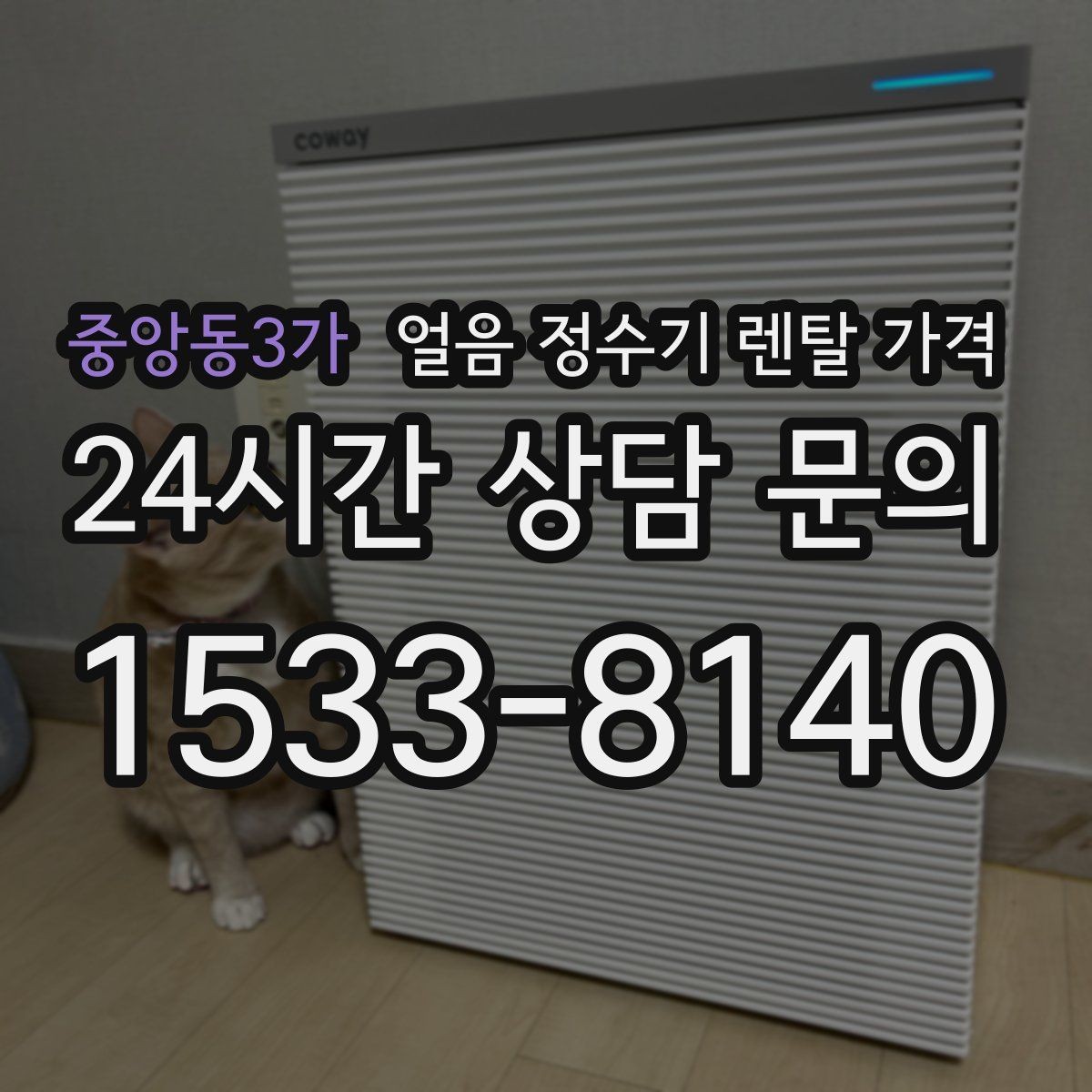 중앙동3가 얼음 정수기 렌탈 가격 빠르게 비교하는 핵심 포인트